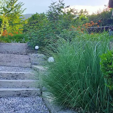 Elegant With Garden Apartment